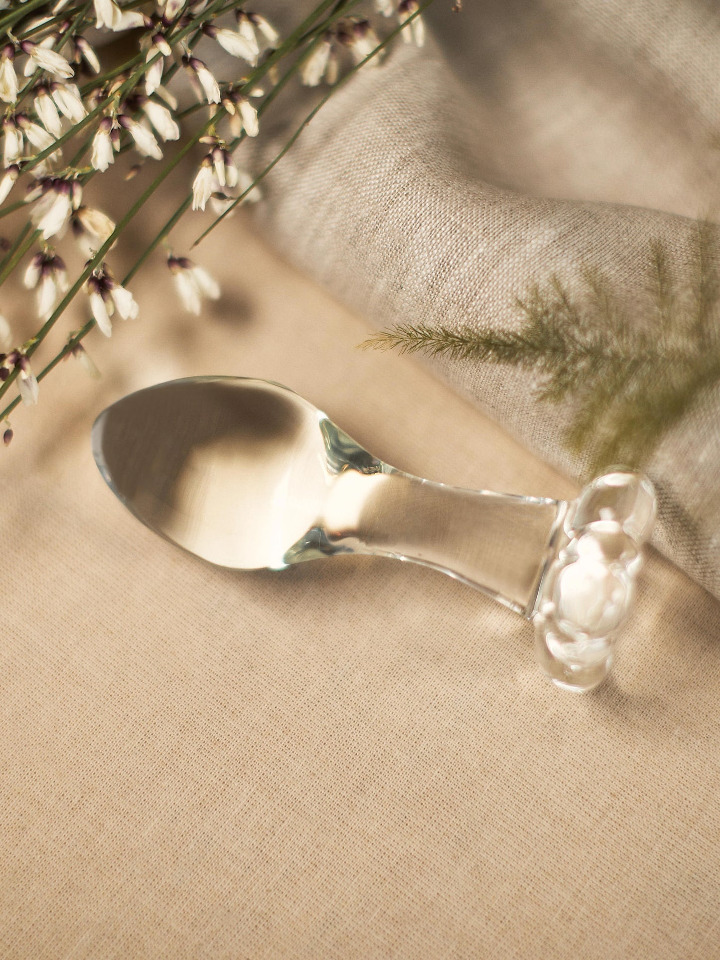 Litsea Glass Butt Plug