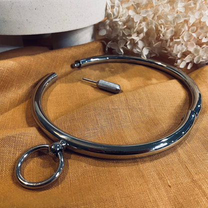 Aurora, Stainless Steel Collar