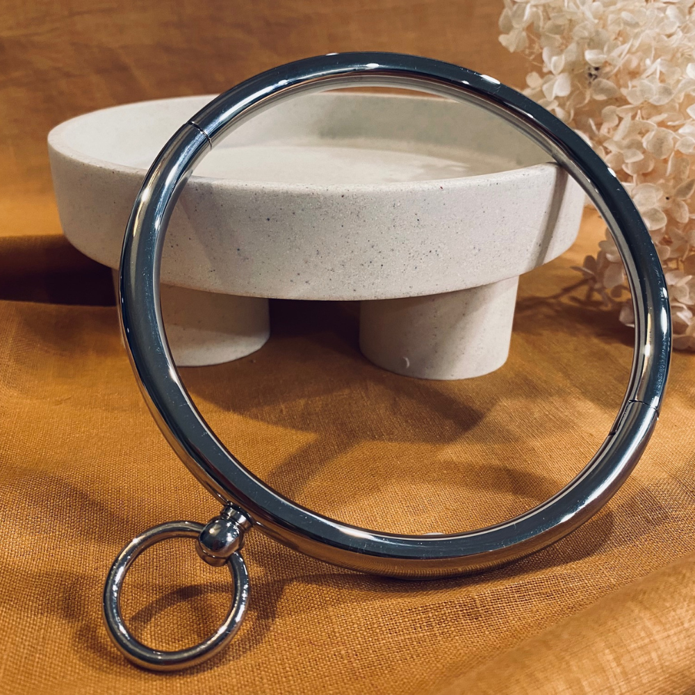 Aurora, Stainless Steel Collar